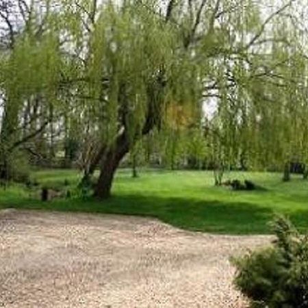 Thatched Farm Bed And Breakfast Γούντμπριτζ Εξωτερικό φωτογραφία