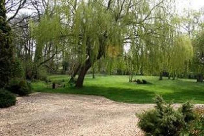 Thatched Farm Bed And Breakfast Γούντμπριτζ Εξωτερικό φωτογραφία